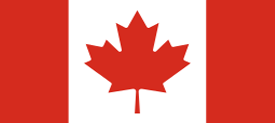 Class action brought against BGRS and SIRVA - EUROMOVERS