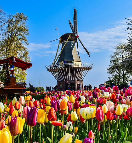 Planning Your Move to Netherlands with Global Coordination - EUROMOVERS